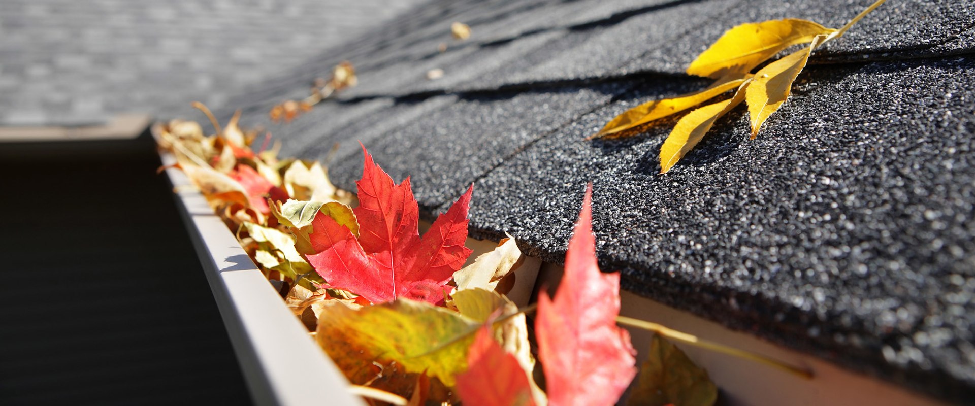 Roofing and Gutter Maintenance and Repair